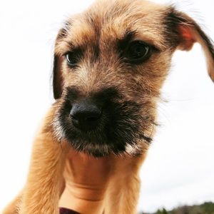 Meet your Posher, Rolene